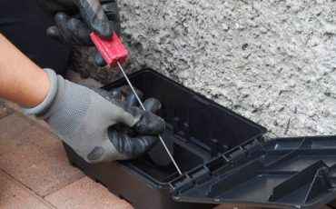 derattizzazione
